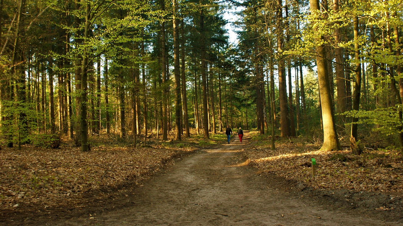 Family-Friendly Cascade Hikes: Waterfall Trails That Work for Every Age