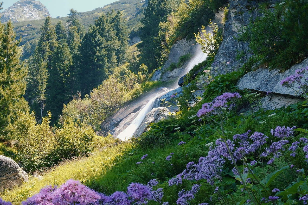 Five Underrated Cascade Hikes in North America Worth the Trek